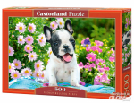 Pusle Castorland French Bulldog Puppy 53650, 33 cm x 47 cm, 500 tk, mitmev&auml;rviline
