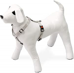 Koerte traksid Beeztees, helehall, 350 - 500 mm x 15 mm, 35-50