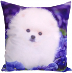 Dekoratiivpadjap&uuml;&uuml;r Mariall JCL-406, mitmev&auml;rviline, 40 cm x 40 cm