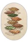 Vaip Conceptum Hypnose HMNT906, mitmev&auml;rviline, 80 cm x 50 cm