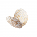 Valgusti seinale Opviq Yosma 13646, LED, 3000 &deg;K, 1 x 5 W