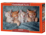 Pusle Castorland The Sweetest Kittens 105144, 47 cm x 68 cm, 1000 tk, mitmev&auml;rviline
