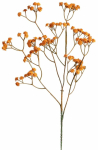 Kunstoks Homla Cladel, oranž v., 61 cm