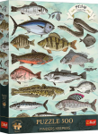 Pusle Trefl Finders Keepers Fish, 48 cm x 34 cm, 500 tk, mitmev&auml;rviline