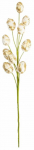 Kunstoks Homla Polia, kuldne v., 30 cm