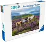 Pusle Ravensburger Wild Horses In The Heathe, 75 cm x 98 cm, 2000 tk, mitmev&auml;rviline