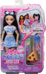 Nukk aksessuaaridega Mattel Barbie Dream Besties Weekend Getaway Renee JMV19, 30 cm, sinine v.
