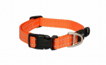 Kaelarihm koertele Rogz Utility Classic, oranž v., 260 - 400 mm x 16 mm, 26-40
