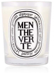 K&uuml;&uuml;nal, l&otilde;hna Diptyque Menthe Verte, 50 h, 190 g, Pruunikas v.