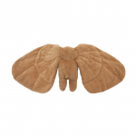 Pehme m&auml;nguasi elevant Warm & Weight, pruun v., 31 cm