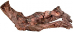 Akvaariumi dekoratsioon Zolux Mangrove Root 356025, pruun v., 4.7 cm