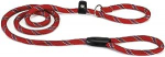 Koera rihm Beeztees, punane, 1.7 m x 13 mm