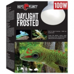 Terraariumi lambipirn Repti Planet Daylight Frosted, 100 W