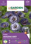 Seemned Garden Center moonid EARLY GREY, 0.3 g