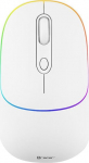 Juhtmevaba m&auml;nguhiir Tracer TRAMYS46953, bluetooth / usb, valge v.