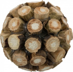 Pallid Trixie 3022, pruun v.