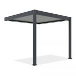 Aiatelk Pergola Elegance Wall Automatic, 309 x 256 cm, antratsiit v./helehall v.