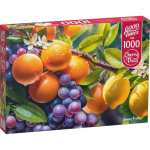 Pusle CherryPazzi Good Times Sunny Fruits, 50 cm x 70 cm, 1000 tk, mitmev&auml;rviline