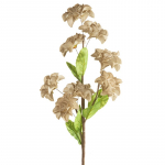 Kunstlill Flore 865, beež v., 65 cm x 20 cm