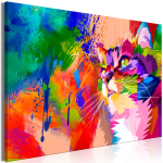 Reproduktsioon Artgeist Colourful Cat N7967PWD, 90 cm x 60 cm