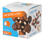 M&otilde;istatused Frontal Lobe