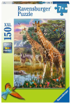 Pusle Ravensburger Jungle Giraffes, 49 cm x 36 cm, 150 tk, mitmev&auml;rviline