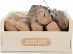 Koeramaius Zolux, 6 tk
