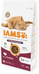 Kuiv kassitoit IAMS Advanced Nutrition Sensitive Digestion, kanaliha/kalkun/riis, 2 kg