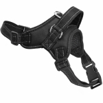 Koerte traksid Springos, must, 360 - 550 mm x 25 mm, L