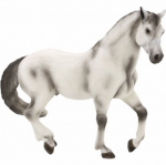 M&auml;ngukujuke Mojo Andalusian Stallion 387149, hall v.