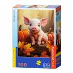 Pusle Castorland 300 B-030569-1, 40 cm x 29 cm, 300 tk