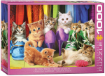Pusle Eurographics Kitten Pride 6000-5543, 67.6 cm x 48.9 cm, 1000 tk, mitmev&auml;rviline