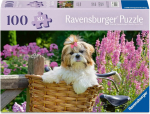 Pusle Ravensburger Sweet Little Dog, 49 cm x 36 cm, 100 tk, mitmev&auml;rviline