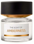 Parf&uuml;&uuml;mvesi BMW The Scent Of Amberness, 100 ml