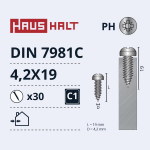 Isekeermestavad kruvid Haushalt DIN7981C, 4.2 mm x 19 mm, 30 tk