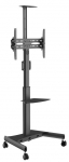 Teleri seinakinnitus Vivolink Mobile Stand VLFS3266C, 32-65", 35 kg