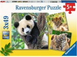 Pusle Ravensburger Panda Tiger And Lion 05666, 21 cm x 21 cm, 147 tk, mitmev&auml;rviline