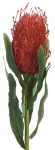 Kunstlill 336, punane, 63 cm