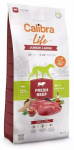 Kuiv koeratoit Calibra Life Junior Large, veiseliha, 12 kg