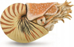 M&auml;ngukujuke Collecta Nautilus Pompilius 88907, 10 cm, pruun v.