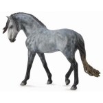 M&auml;ngukujuke Collecta Andalusian Stallion 89555, hall v.