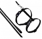 Kassi rakmed koos rihmaga Karlie Art Sportiv Plus 1031203, 110 cm, must