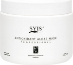 N&auml;omask Syis Professional Antioxidant, 500 ml