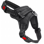 Koerte traksid Springos, must, 520 - 660 mm x 25 mm, M