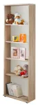 P&otilde;randariiul ASM DINO bookcase, tamm v., 175 cm x 25 cm x 60 cm