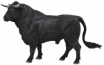 M&auml;ngukujuke Collecta Spanish Fighting Bull 8803