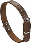 Kaelarihm koertele Beeztees, pruun v., 470 mm x 18 mm, 47