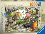 Pusle Ravensburger Our Feathered Friends 19838, 50 cm x 70 cm, 1000 tk, mitmev&auml;rviline