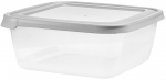 Konteiner toidu jaoks Domotti Albert, 2.5 l