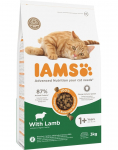 Kuiv kassitoit IAMS Adult, lambaliha, 3 kg